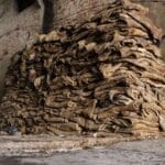 León, Guanajuato: El Rugido de la Industria del Cuero Frente al Dragón Chino