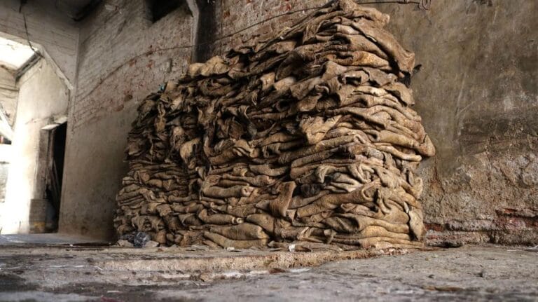 León, Guanajuato: El Rugido de la Industria del Cuero Frente al Dragón Chino